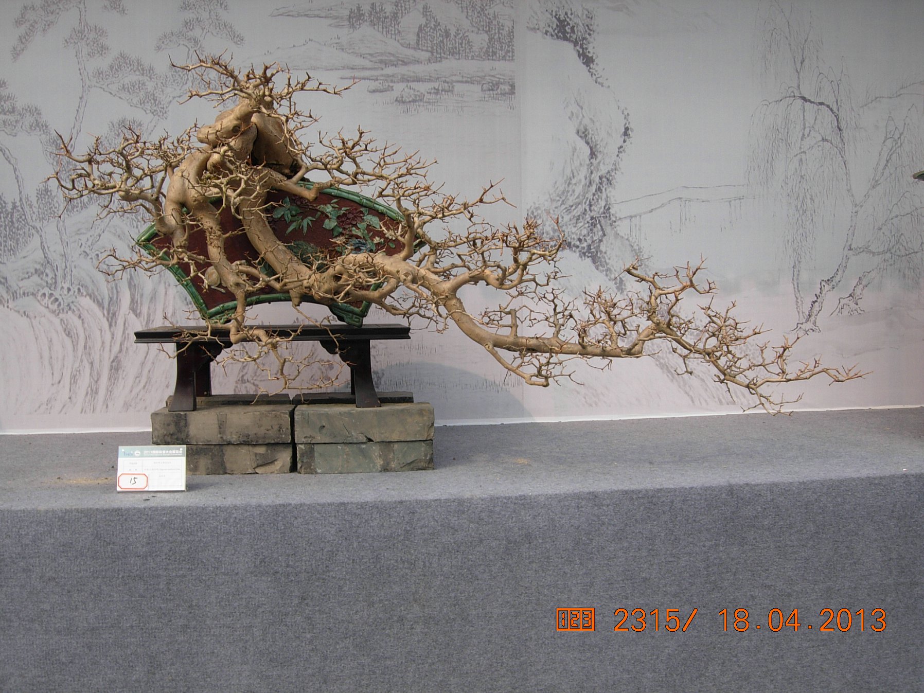 DSCN6702.JPG