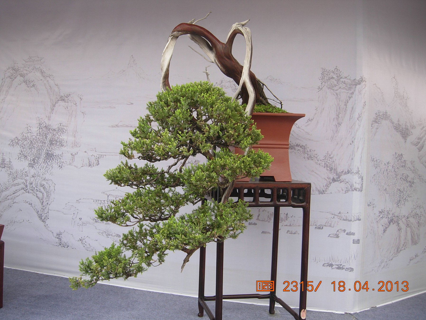 DSCN6703.JPG