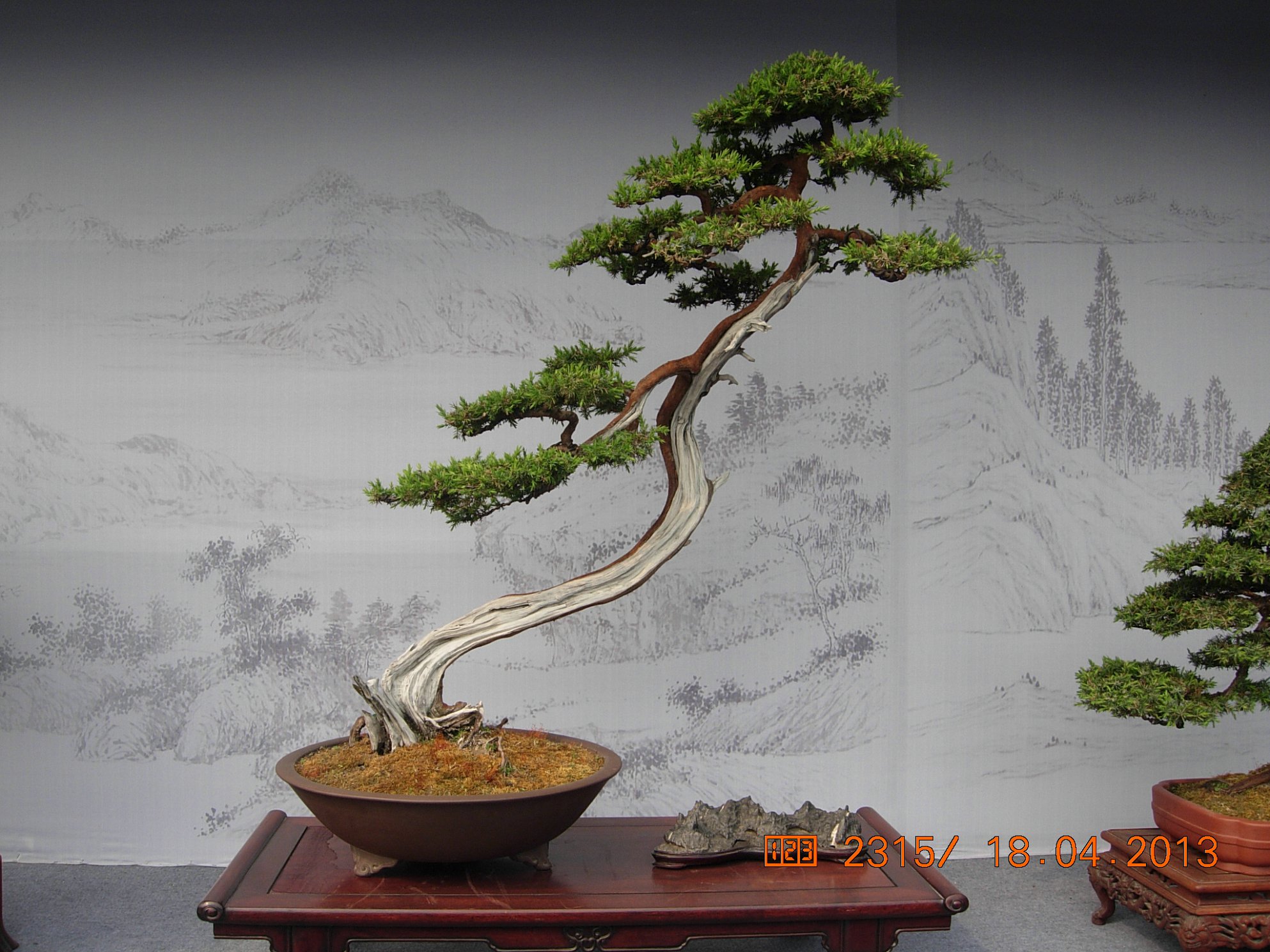 DSCN6704.JPG