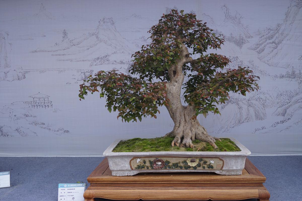 DSC01448.JPG