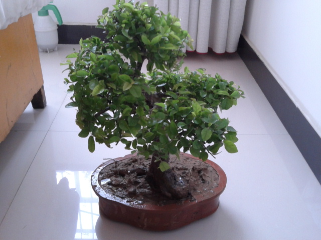2013-04-17 15.55.07.jpg