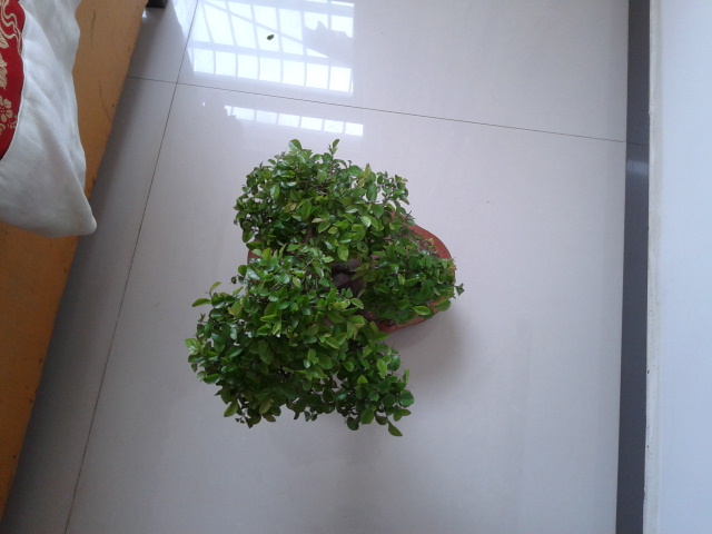 2013-04-17 15.55.17.jpg