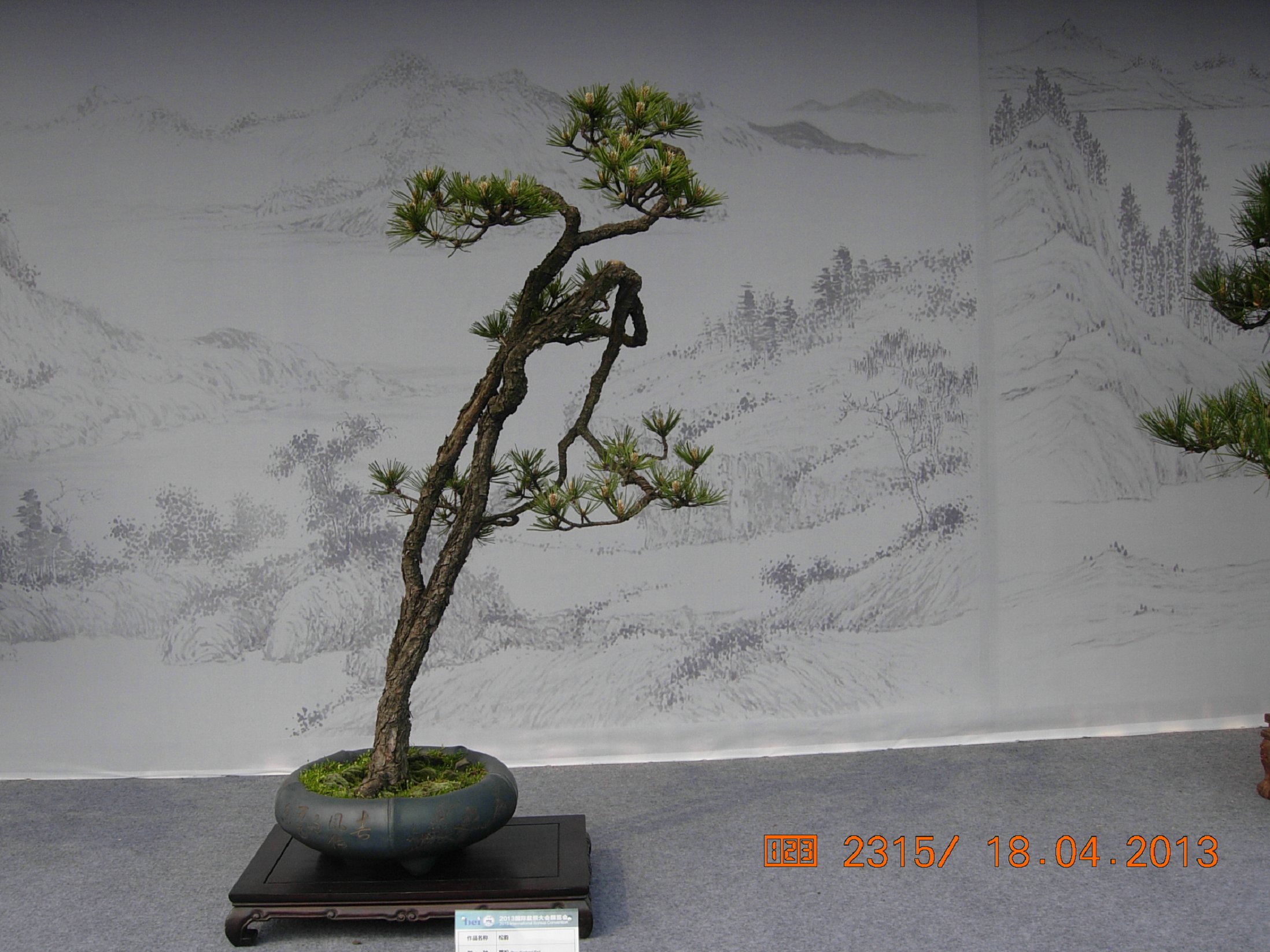 DSCN6705.JPG