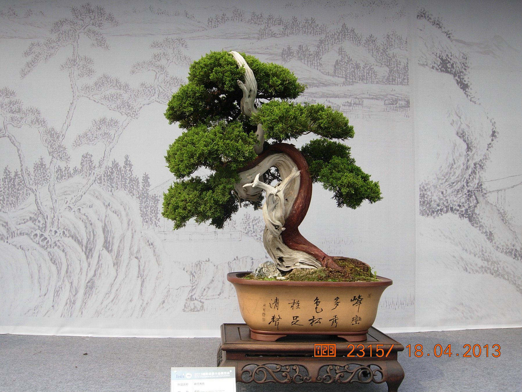DSCN6706.JPG