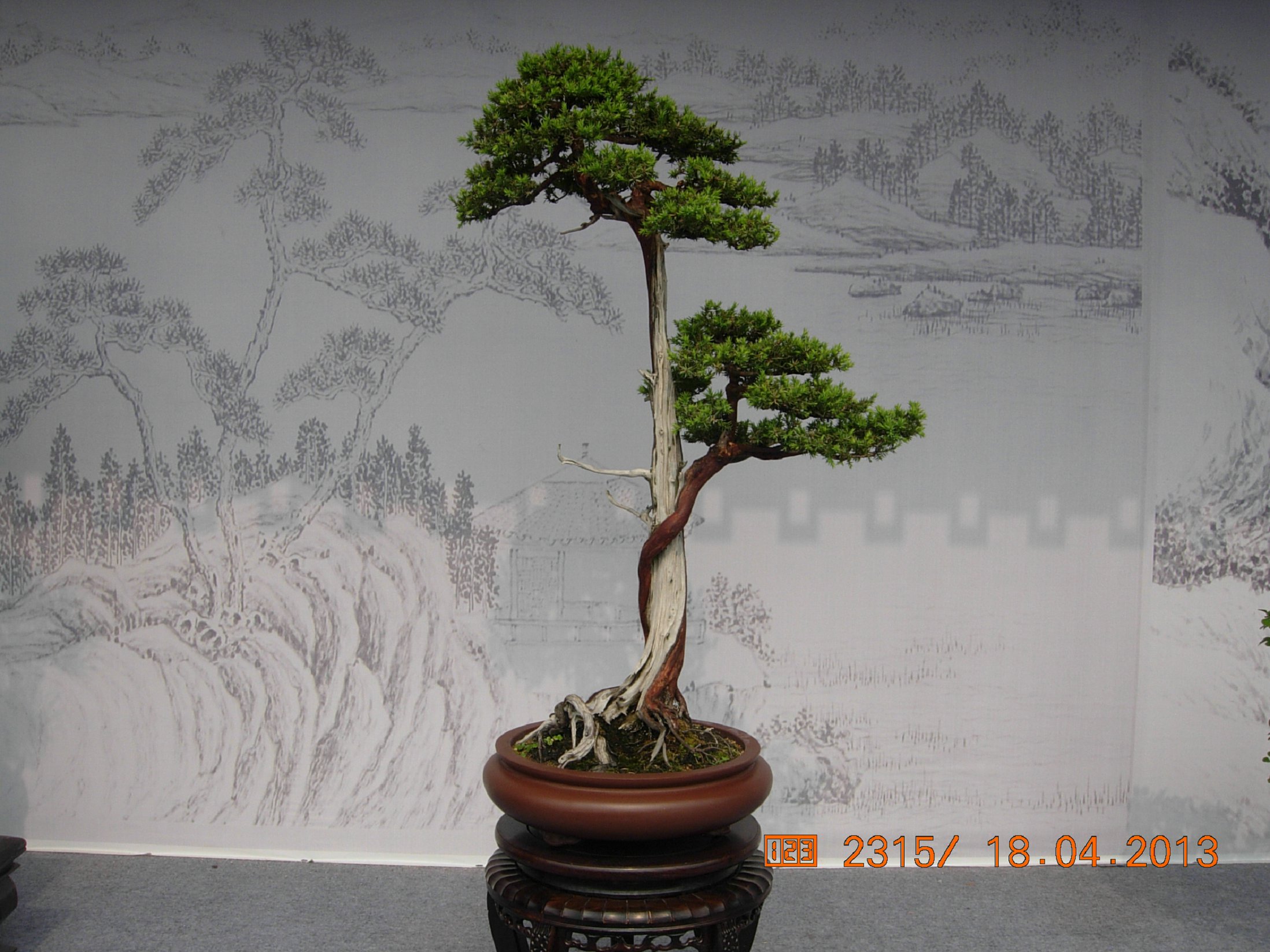 DSCN6708.JPG