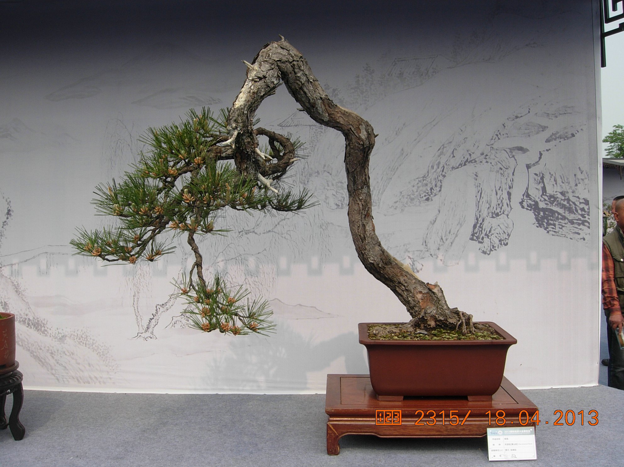 DSCN6710.JPG