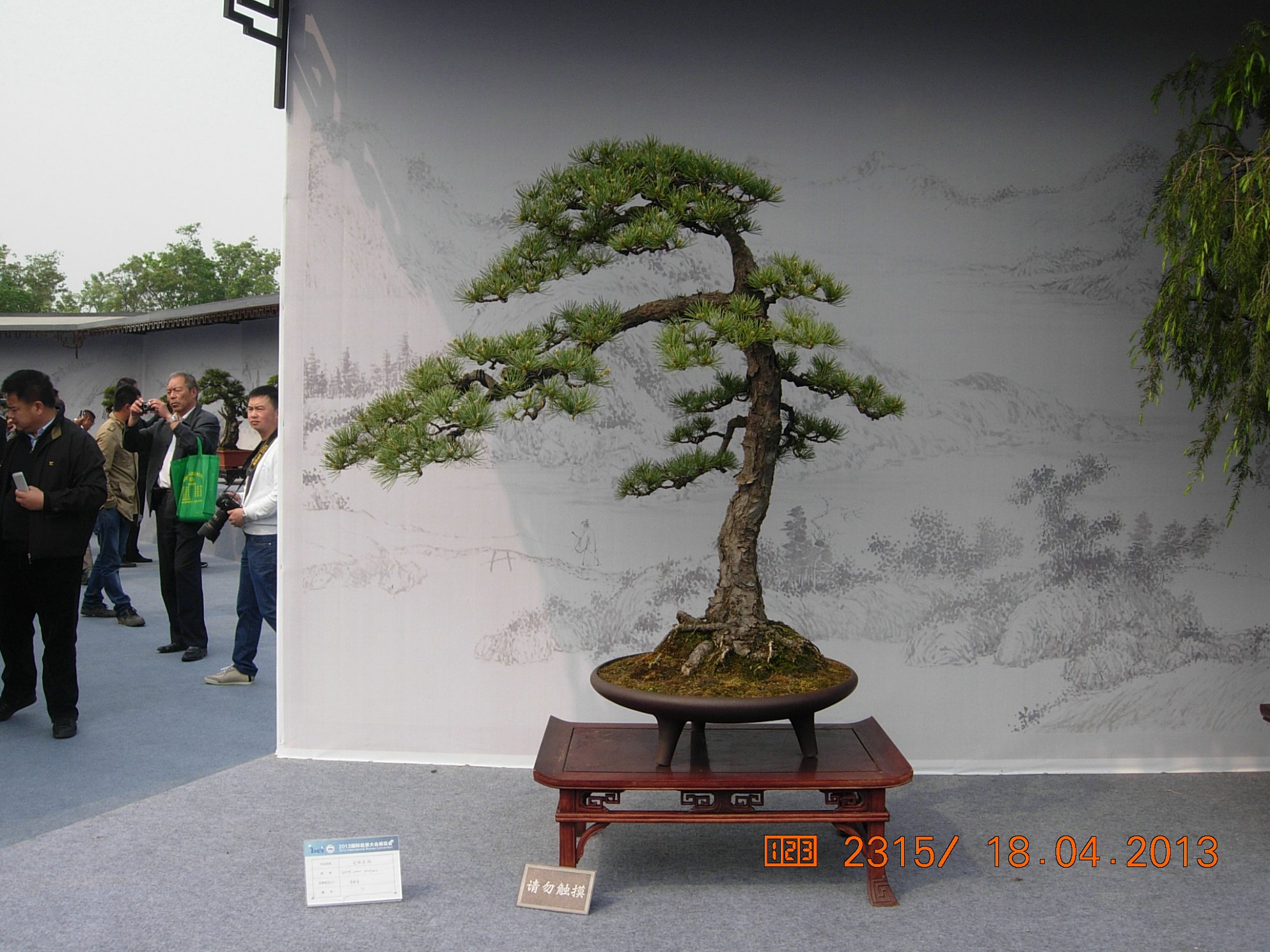 DSCN6711.JPG