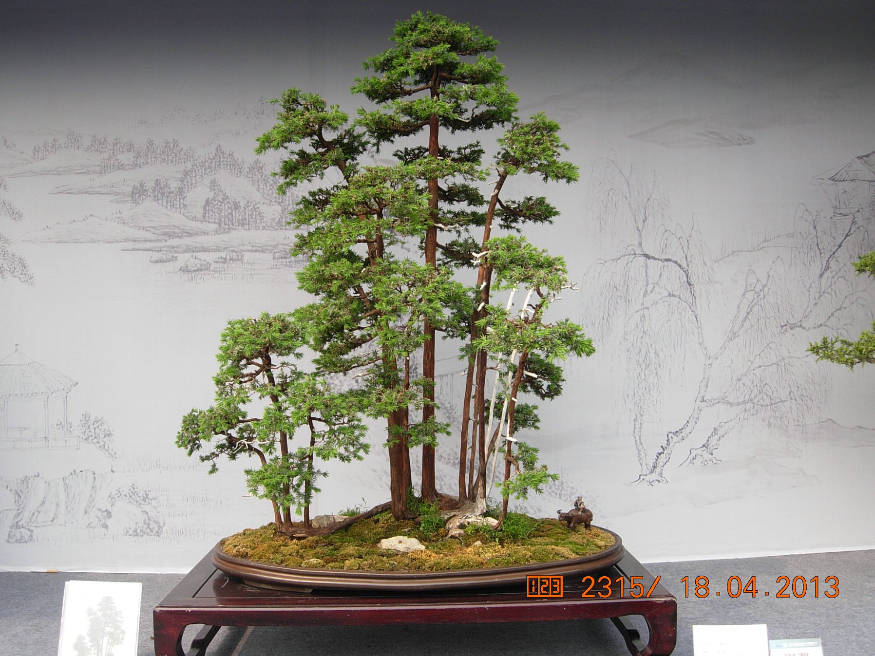 DSCN6712.JPG