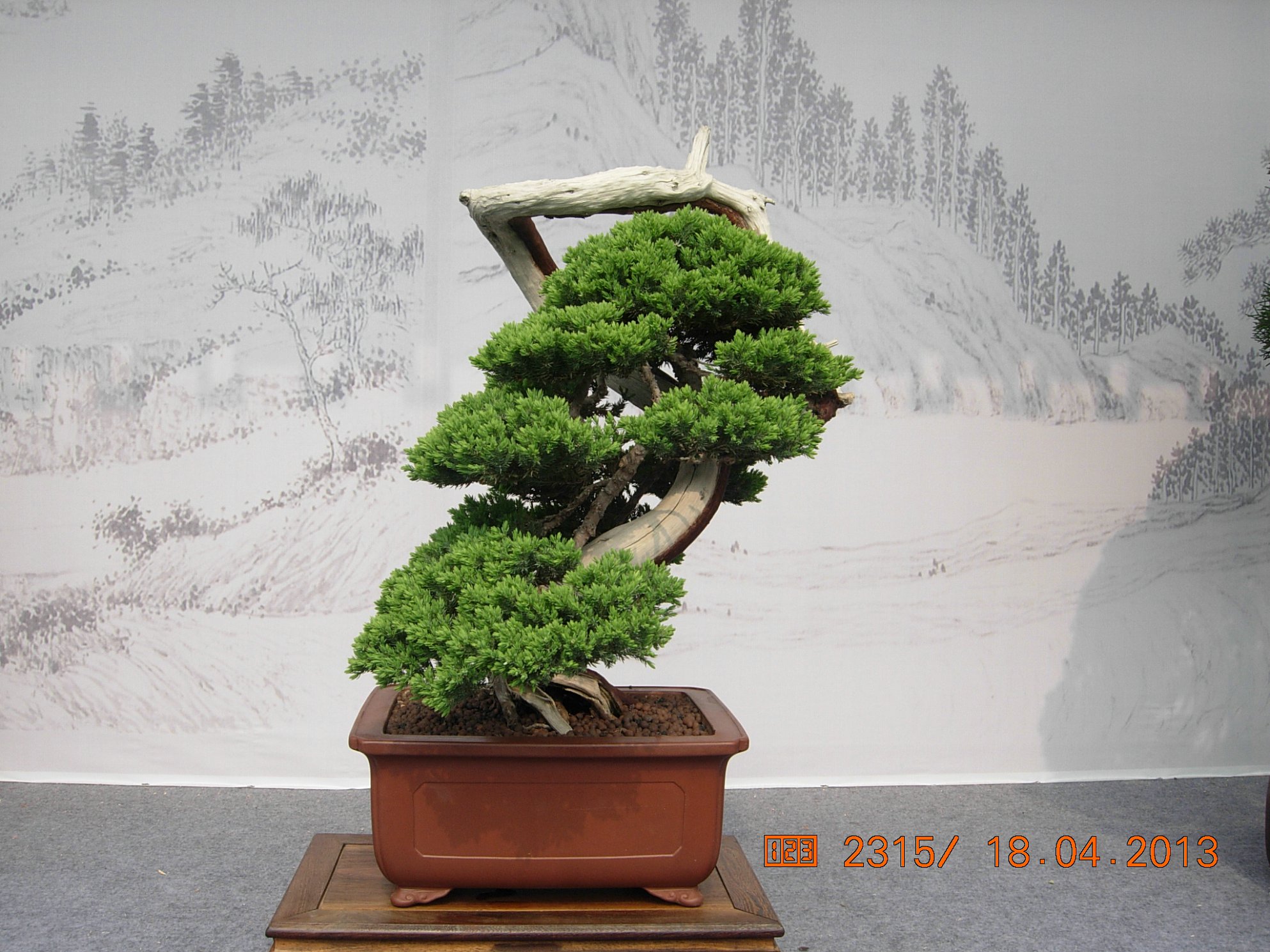 DSCN6714.JPG