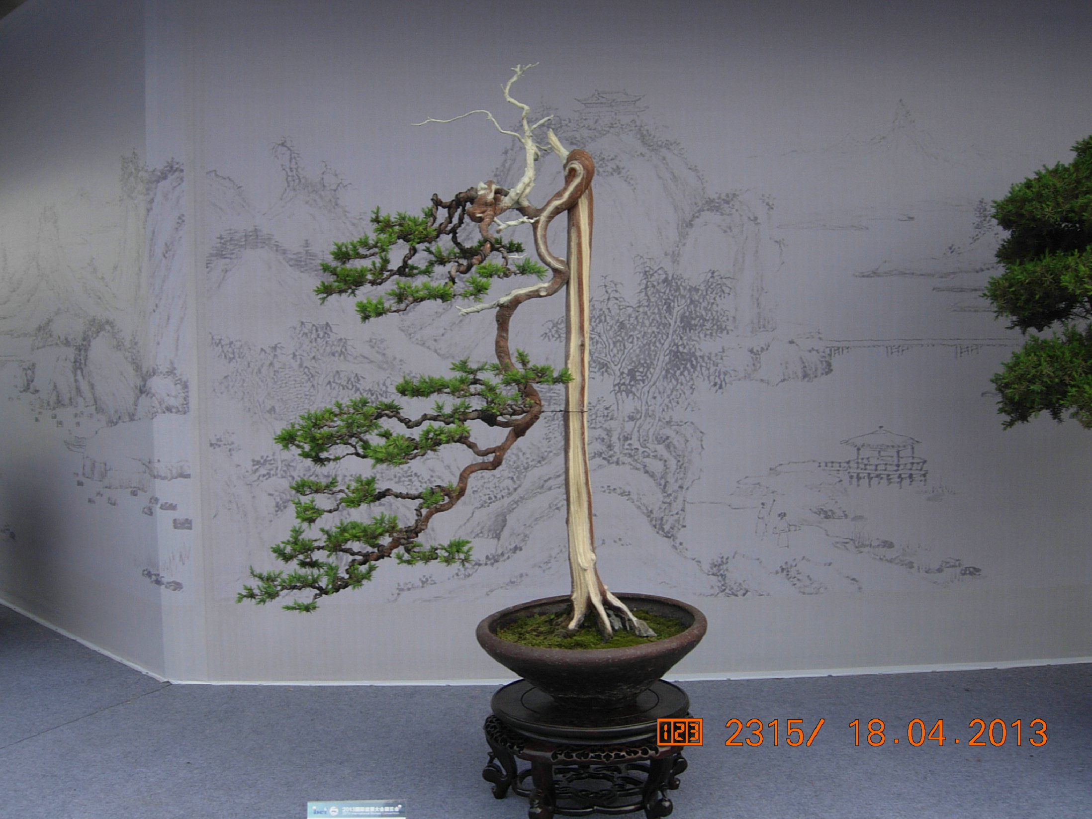 DSCN6716.JPG