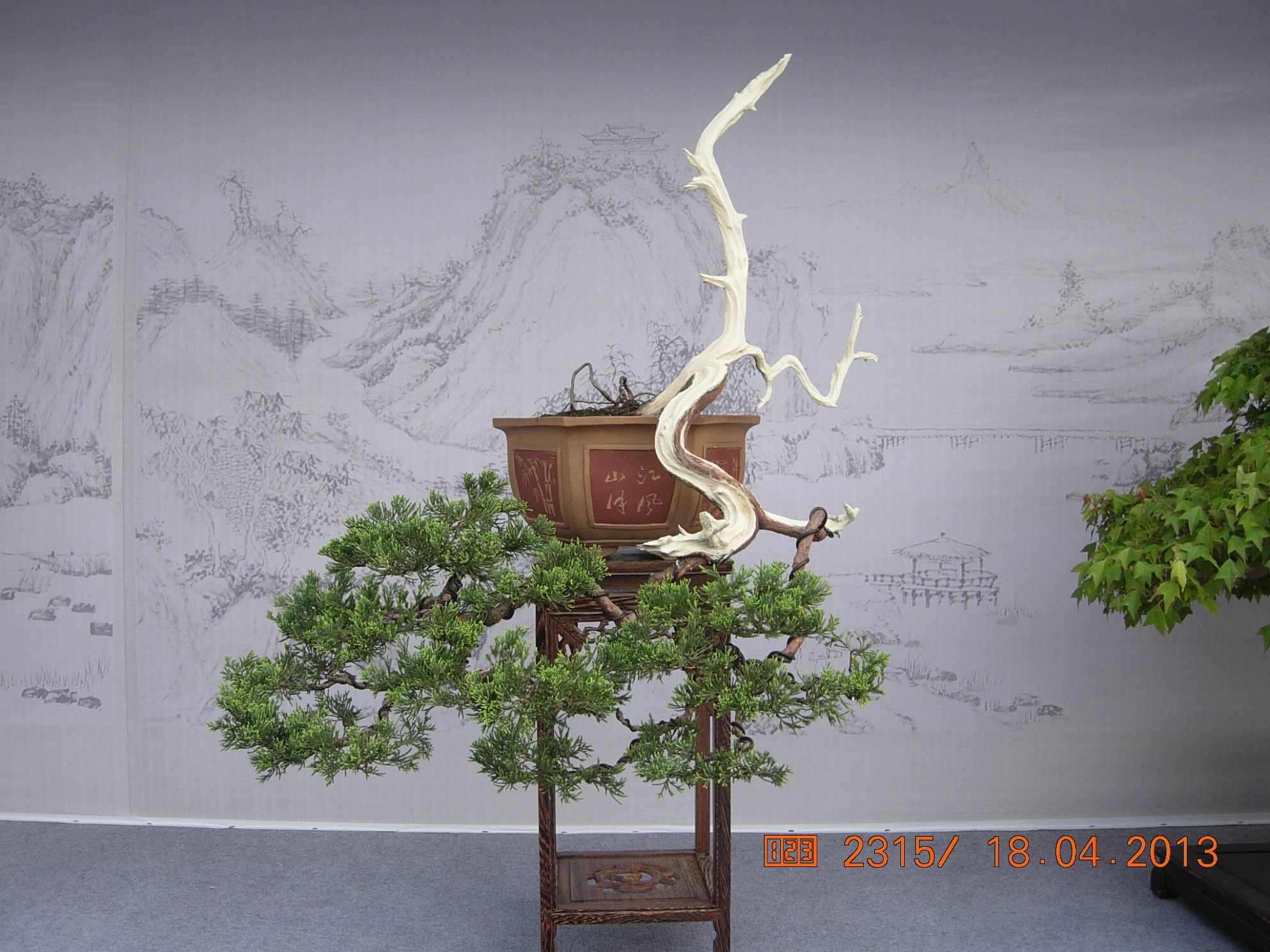 DSCN6717.JPG