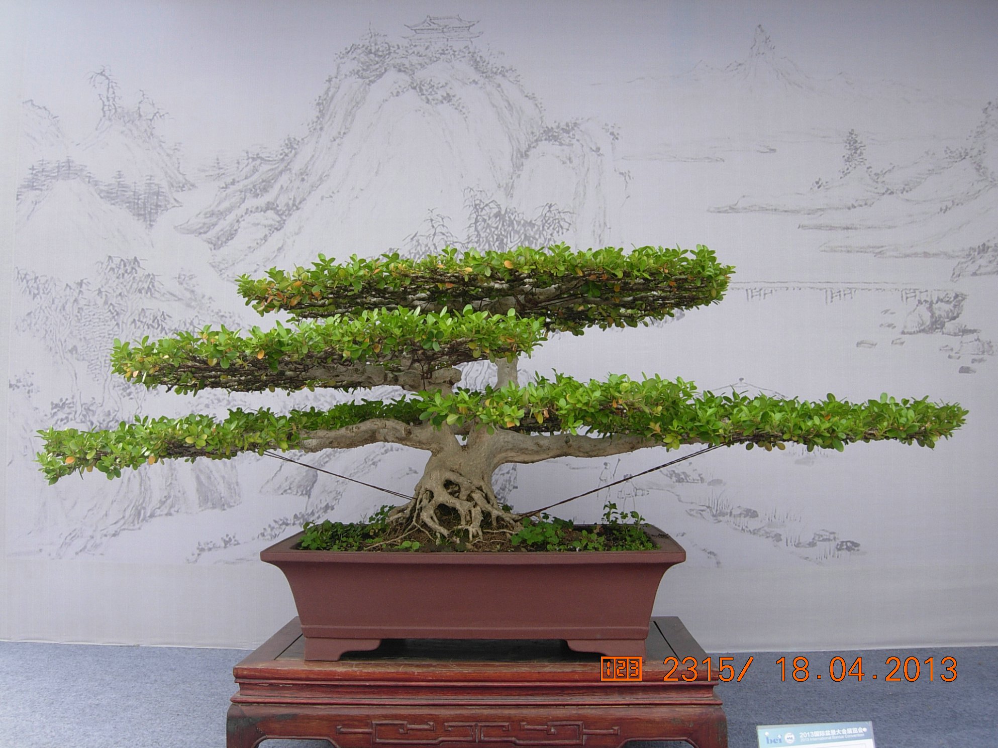 DSCN6718.JPG
