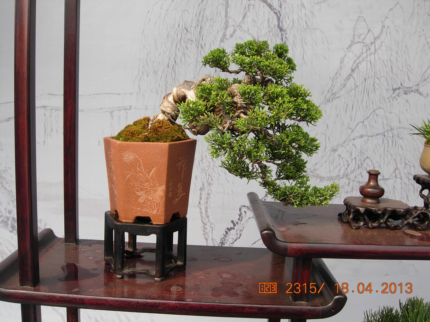 DSCN6721.JPG