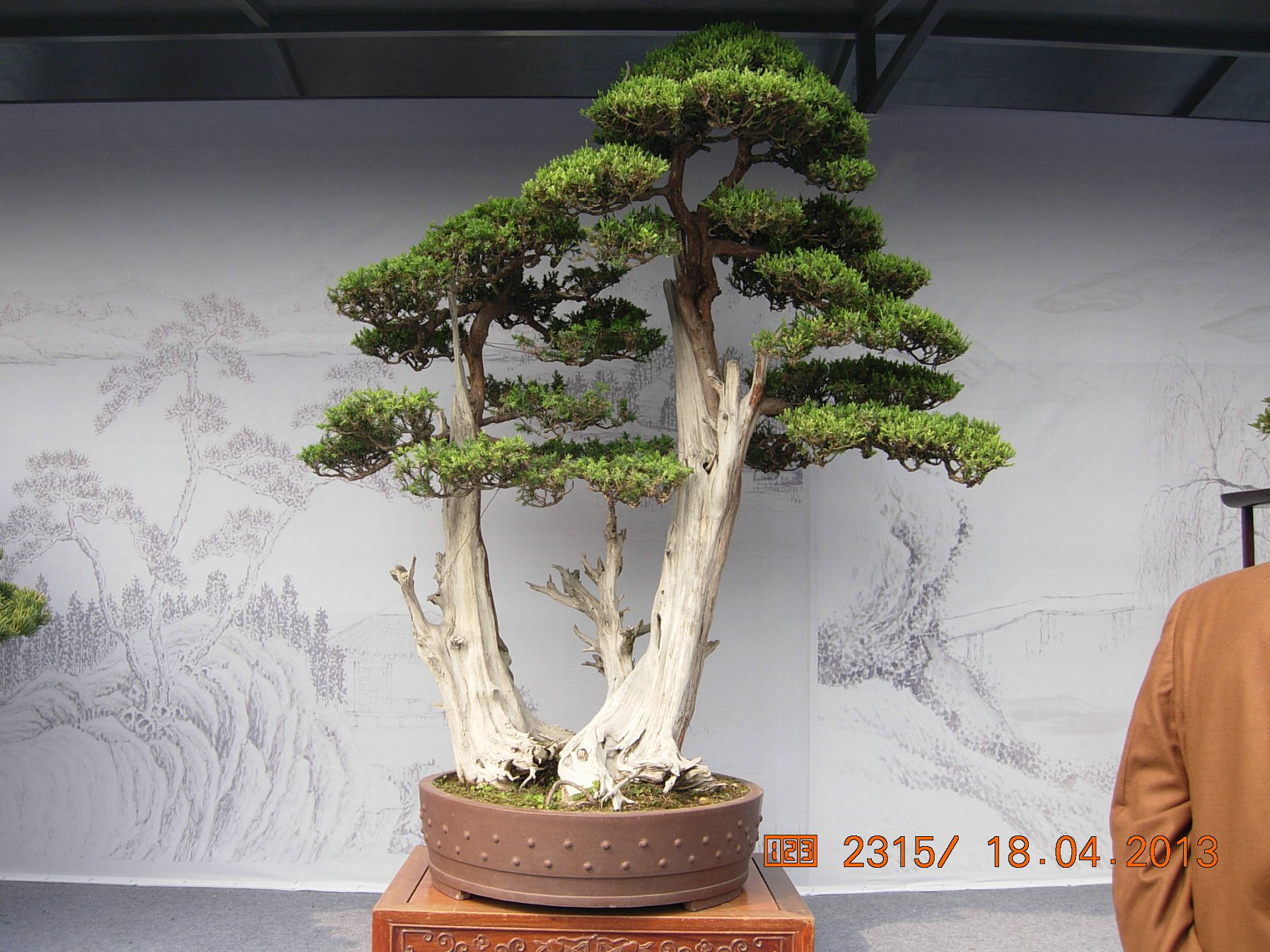 DSCN6722.JPG