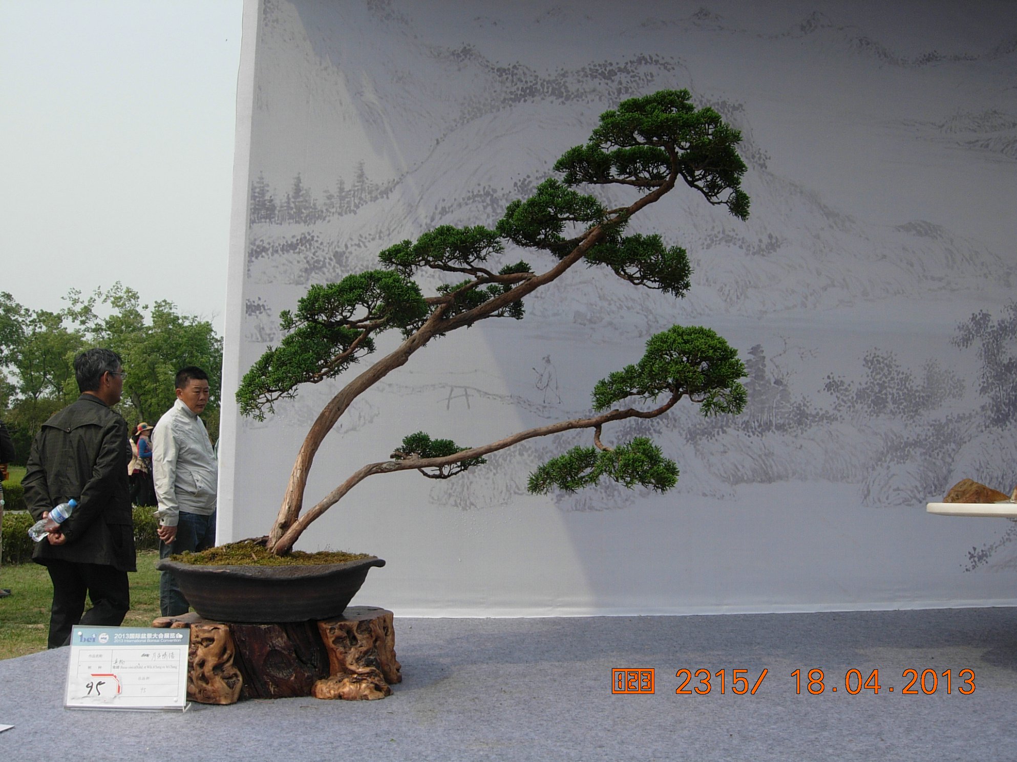 DSCN6725.JPG