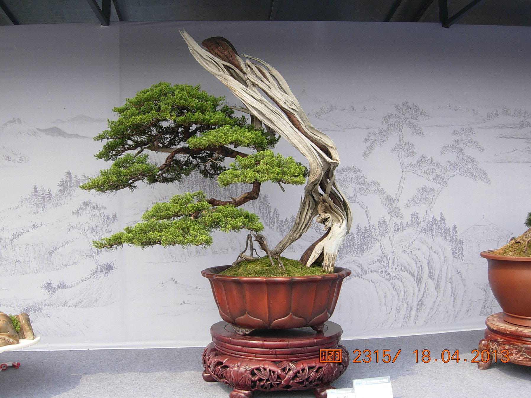 DSCN6727.JPG