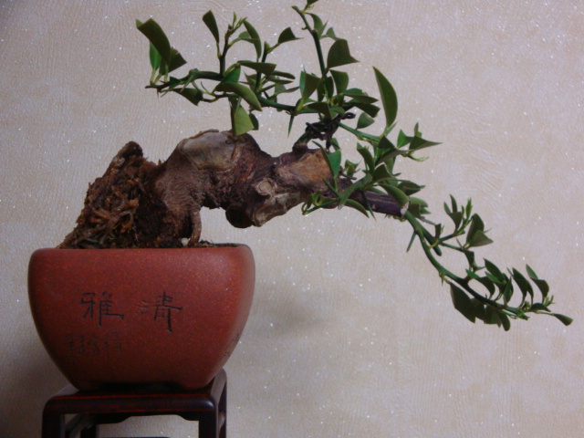 DSC03360.JPG