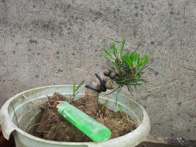 20130421_125202.jpg