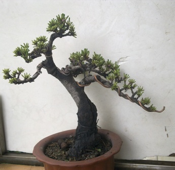 20130420599.jpg