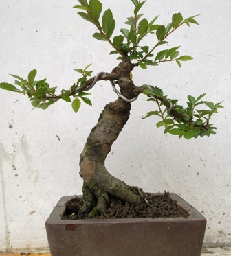 20130424608.jpg