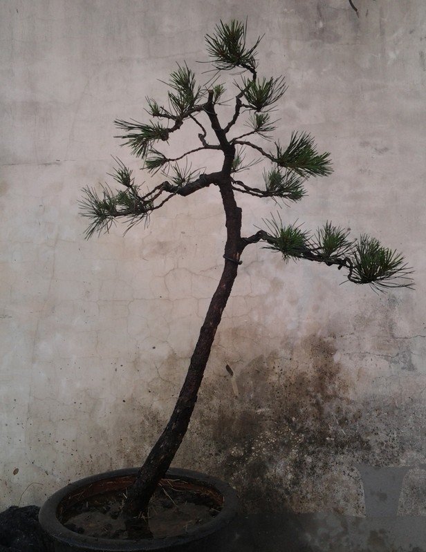 QQͼƬ20130428225949.jpg