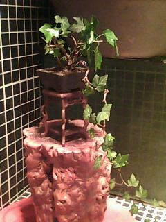 IMG0170A.jpg