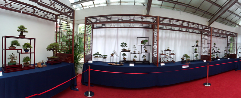 P30430-075239_.jpg