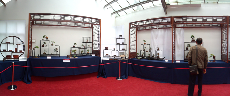 P30430-075313_.jpg