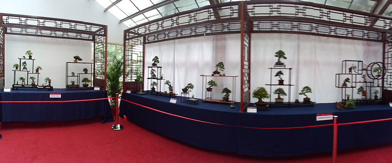 P30430-075551_.jpg