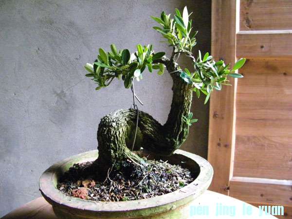 100_2172.jpg