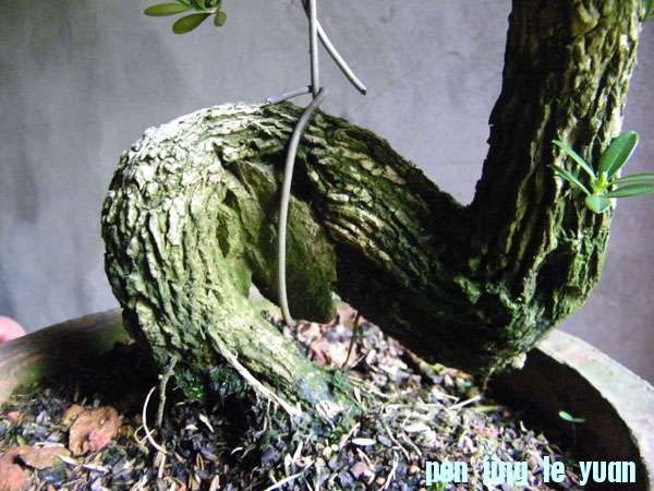 100_2173.jpg