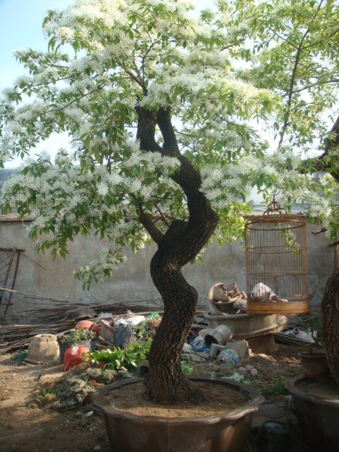 DSC02602.JPG