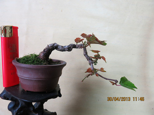 IMG_0507_.jpg