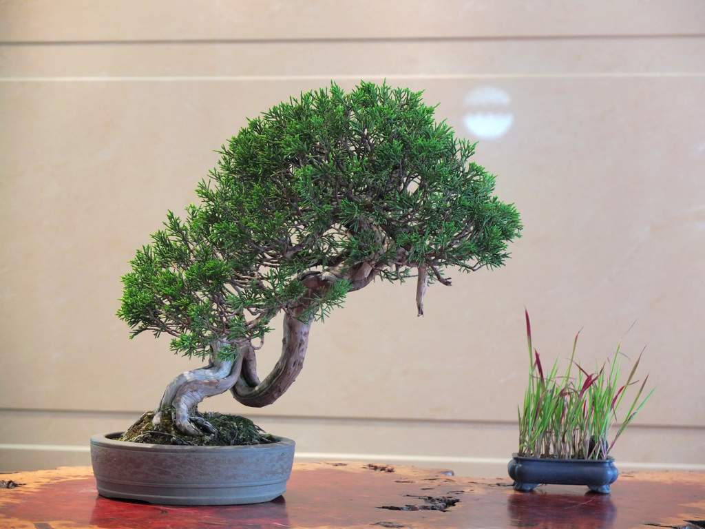 DSCF6176.jpg