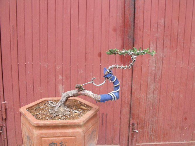 DSCF2625.JPG