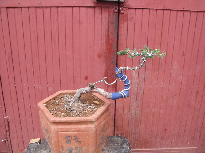 DSCF2624.JPG