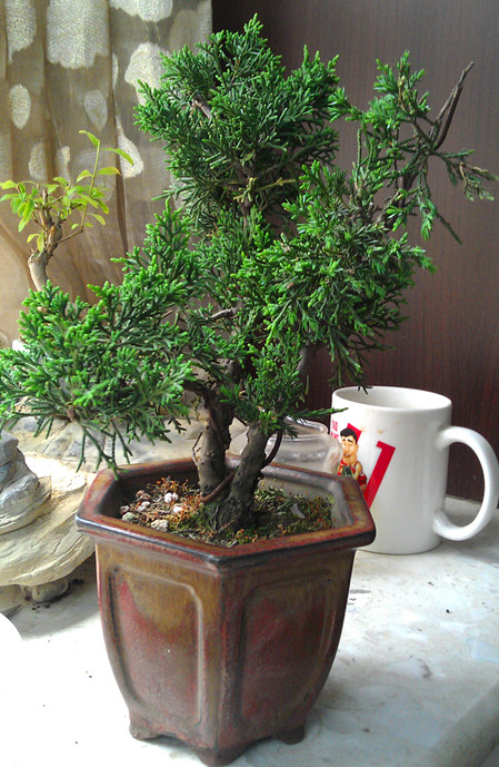 IMAG0296.jpg