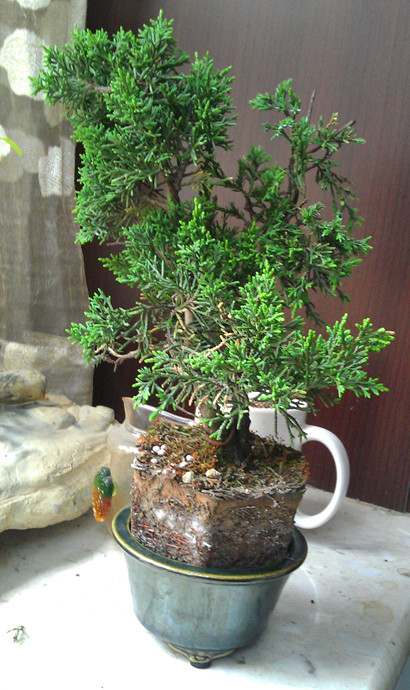 IMAG0299.jpg
