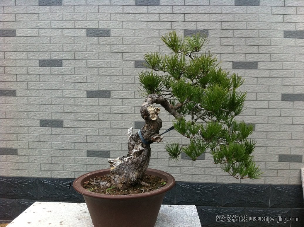 20121201.jpg