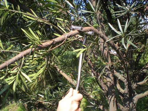 news_20121119153938.jpg