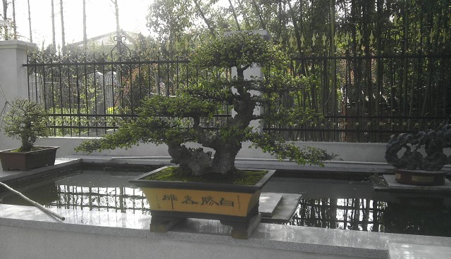 IMAG0834.jpg