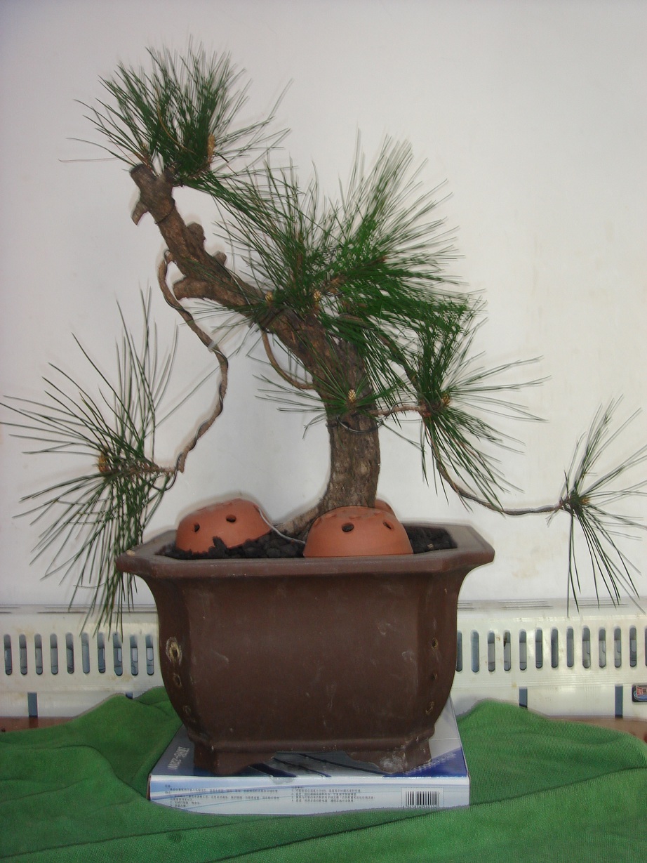 DSC04089.JPG