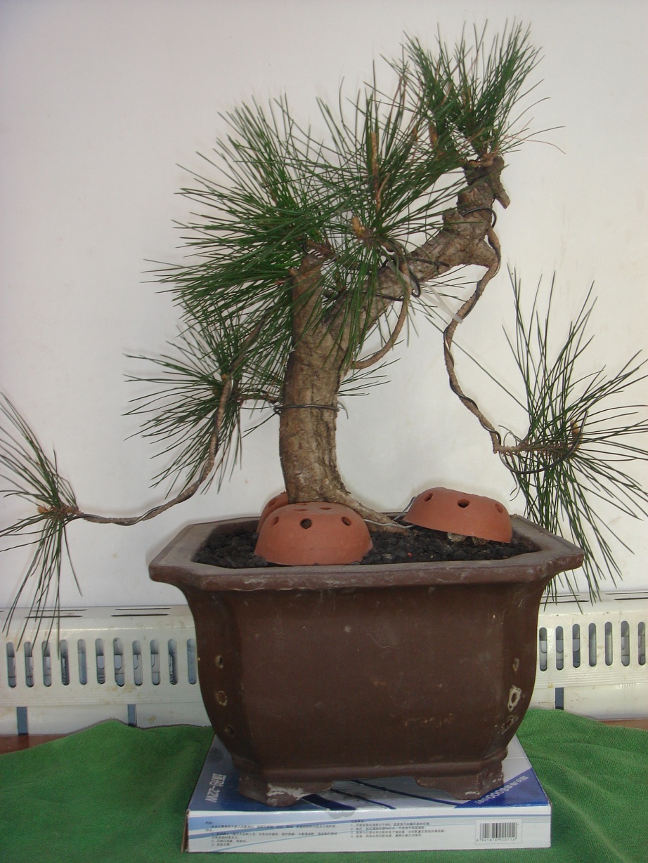 DSC04090.JPG