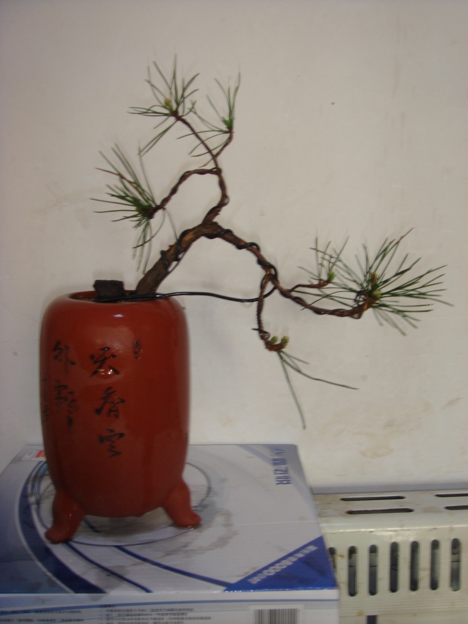 DSC04107.JPG