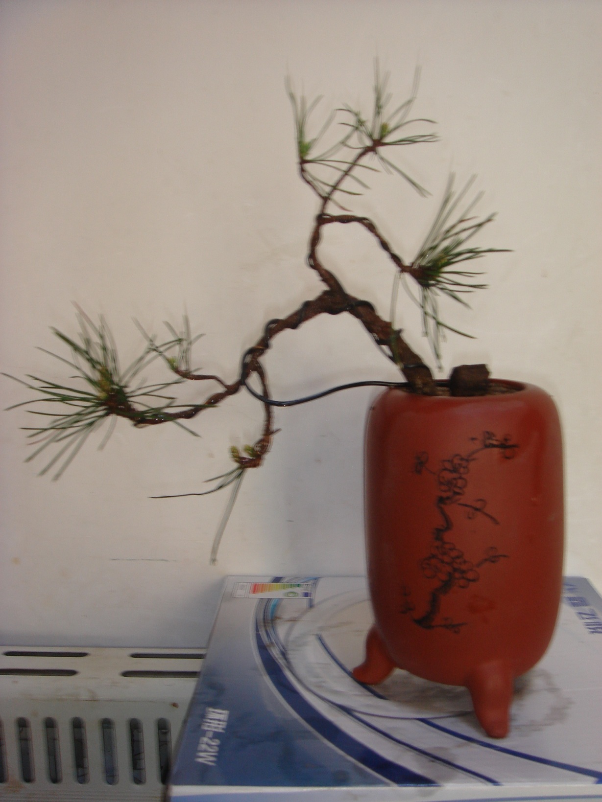 DSC04108.JPG