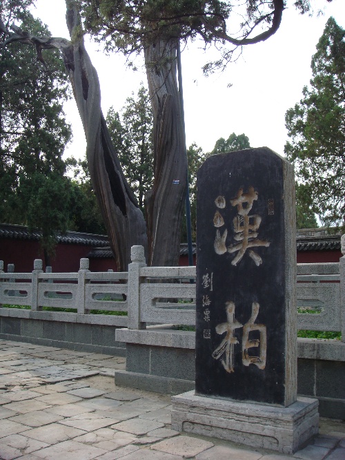 114f8446c34.jpg