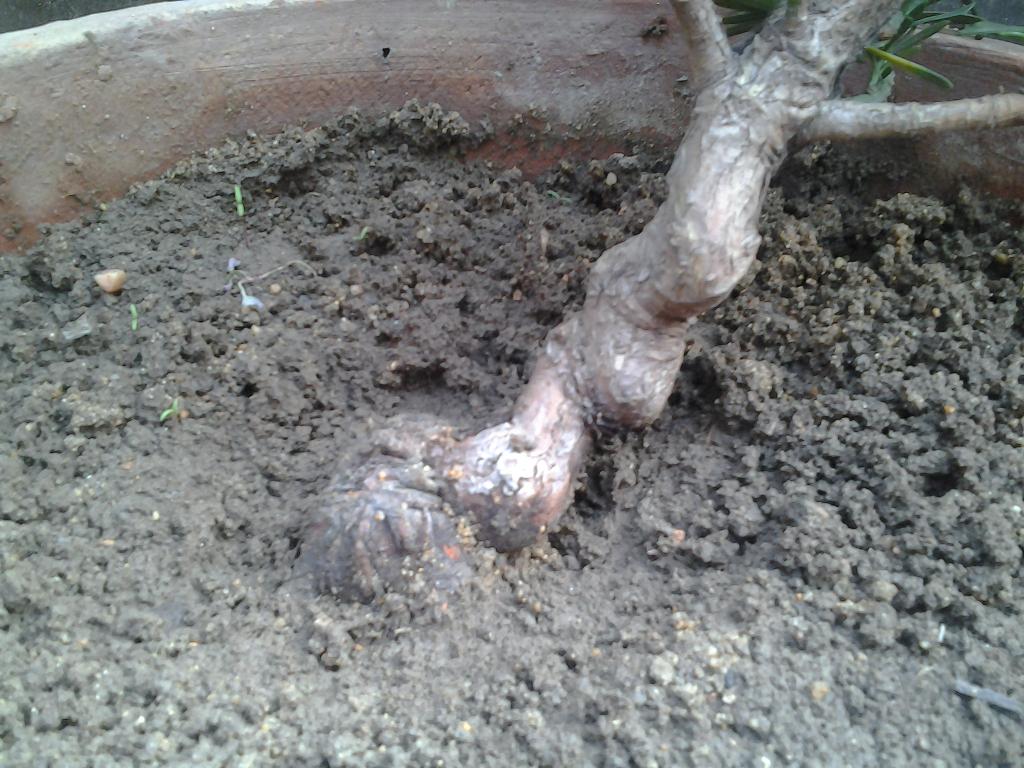 2013-05-05 07.22.36.jpg