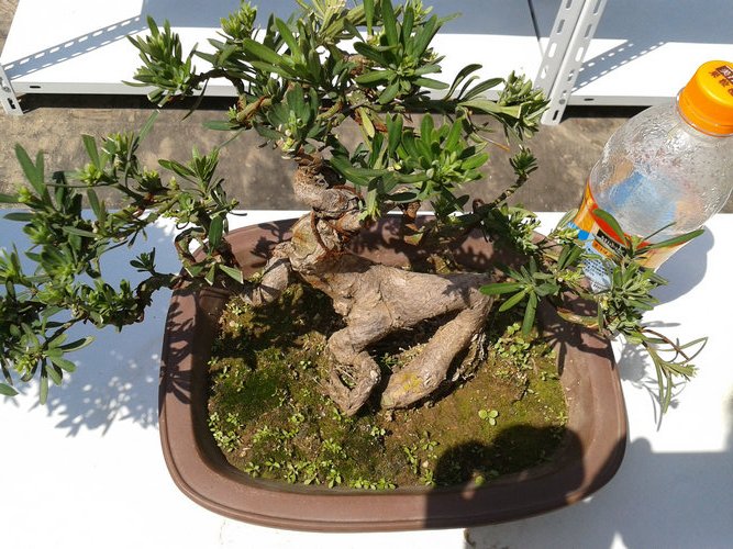2013-04-26 13.24.41.jpg