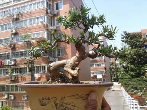 2013-04-26 13.34.08.jpg