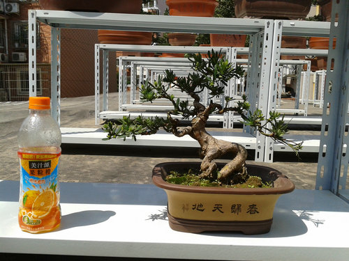 2013-04-26 13.23.22.jpg